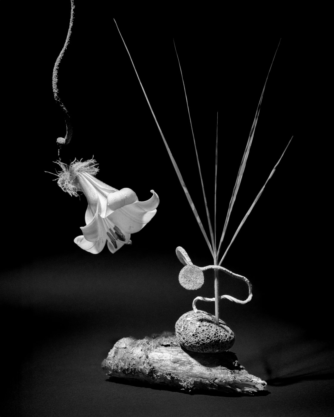 Goldwin 0 Brewed Protein Tee-shirt “Reaction-Diffusion System