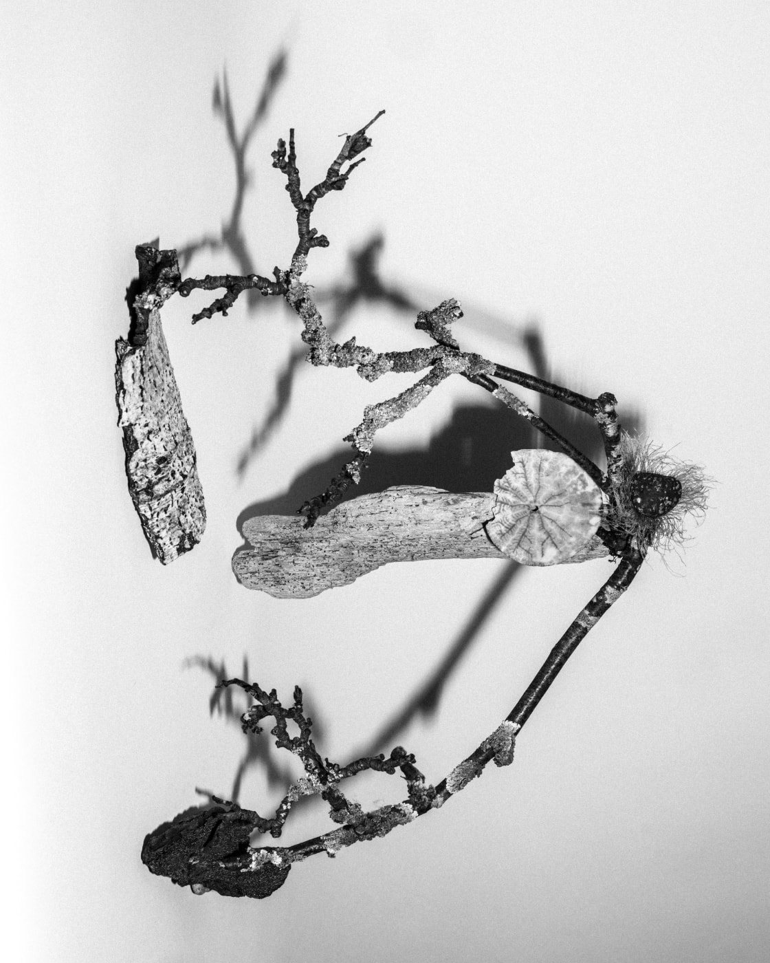 Goldwin 0 Brewed Protein Tee-shirt “Reaction-Diffusion System