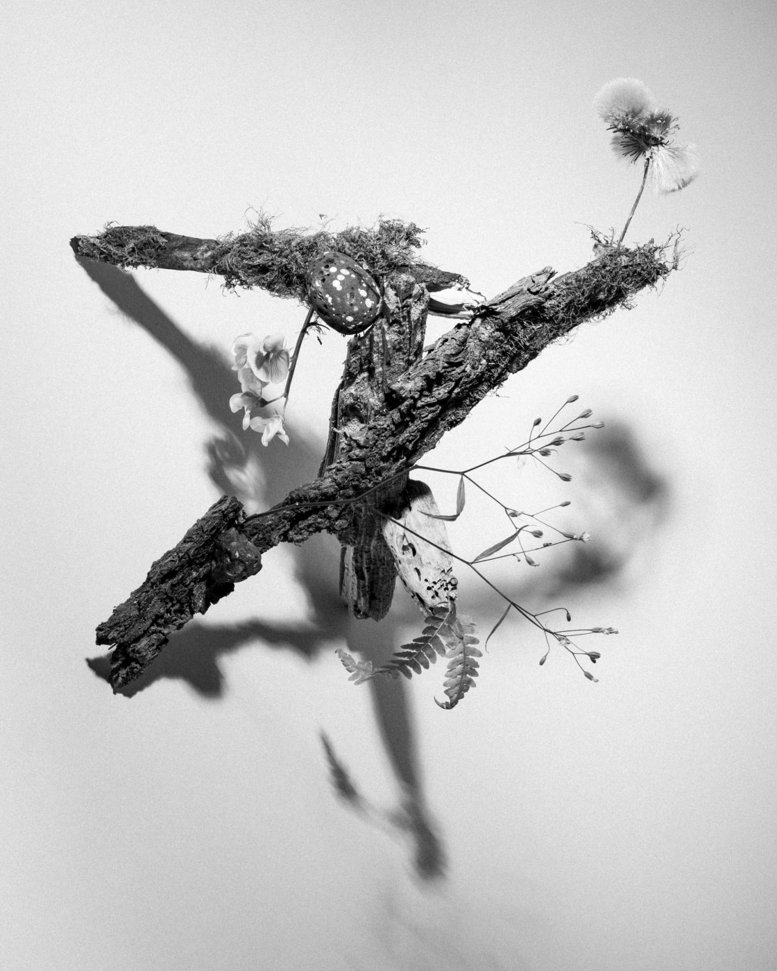 Goldwin 0 Brewed Protein Tee-shirt “Reaction-Diffusion